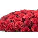 Bouquet of Ecuadorian roses 80 cm